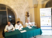 Visualizza